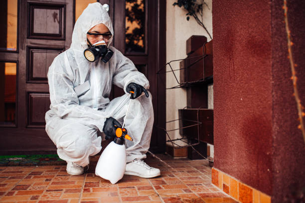 Attic and Crawl Space Rodent Treatment in New Castle
